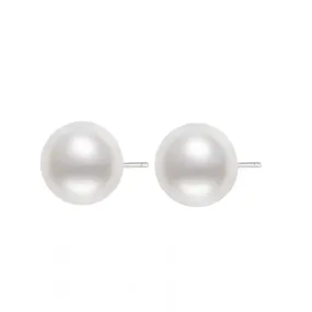 18K Gold Venus Top Grade Australian White South Sea Pearl Stud Earrings KE00084