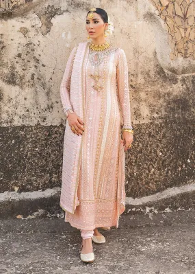 Elegant Heavy Party Wear Salawar kameez